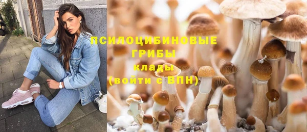 тгк Балабаново