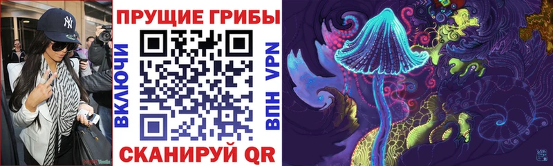 Псилоцибиновые грибы мицелий  Козельск 